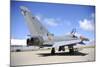 Eurofighter Ef2000 Typhoon of the Spanish Air Force-Stocktrek Images-Mounted Photographic Print