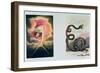 Europe a Prophecy, God Creating the Universe-William Blake-Framed Giclee Print