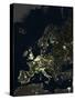 Europe At Night, Satellite Image-PLANETOBSERVER-Stretched Canvas