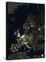 Europe At Night, Satellite Image-PLANETOBSERVER-Stretched Canvas