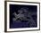 Europe At Night, Satellite Image-null-Framed Photographic Print