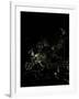 Europe At Night, Satellite Image-PLANETOBSERVER-Framed Photographic Print