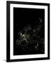 Europe At Night, Satellite Image-PLANETOBSERVER-Framed Photographic Print