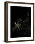 Europe At Night, Satellite Image-PLANETOBSERVER-Framed Photographic Print