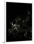 Europe At Night, Satellite Image-PLANETOBSERVER-Framed Photographic Print