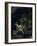 Europe At Night, Satellite Image-PLANETOBSERVER-Framed Photographic Print