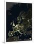 Europe At Night, Satellite Image-PLANETOBSERVER-Framed Photographic Print