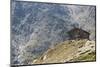 Europe, Austria/Italy, Alps, Mountains, View from Passo Rombo - Timmelsjoch-Mikolaj Gospodarek-Mounted Photographic Print