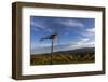 Europe, Austria, Styria, South-Styrian Wine Route, Klapotetz, Vineyard-Gerhard Wild-Framed Photographic Print