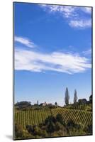 Europe, Austria, Styria, South-Styrian Wine Route, Vineyards, Houses-Gerhard Wild-Mounted Photographic Print