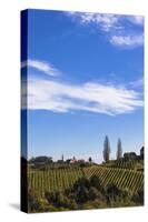 Europe, Austria, Styria, South-Styrian Wine Route, Vineyards, Houses-Gerhard Wild-Stretched Canvas