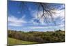 Europe, Austria, Styria, South-Styrian Wine Route, Vineyards, Houses-Gerhard Wild-Mounted Photographic Print