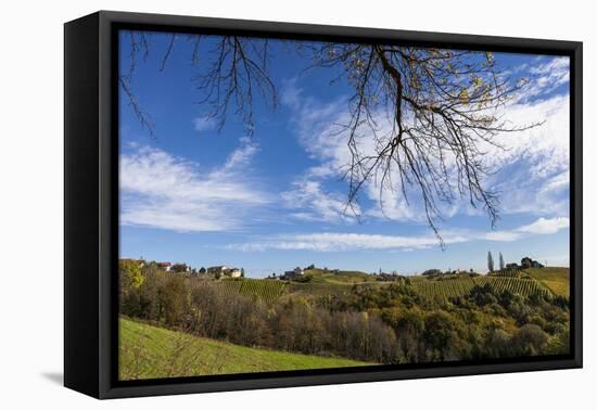 Europe, Austria, Styria, South-Styrian Wine Route, Vineyards, Houses-Gerhard Wild-Framed Stretched Canvas