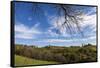 Europe, Austria, Styria, South-Styrian Wine Route, Vineyards, Houses-Gerhard Wild-Framed Stretched Canvas