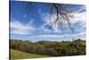 Europe, Austria, Styria, South-Styrian Wine Route, Vineyards, Houses-Gerhard Wild-Stretched Canvas