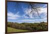 Europe, Austria, Styria, South-Styrian Wine Route, Vineyards, Houses-Gerhard Wild-Framed Photographic Print