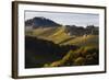 Europe, Austria, Styria, South-Styrian Wine Route, Vineyards, Houses-Gerhard Wild-Framed Photographic Print