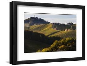 Europe, Austria, Styria, South-Styrian Wine Route, Vineyards, Houses-Gerhard Wild-Framed Photographic Print