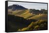 Europe, Austria, Styria, South-Styrian Wine Route, Vineyards, Houses-Gerhard Wild-Framed Stretched Canvas