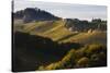 Europe, Austria, Styria, South-Styrian Wine Route, Vineyards, Houses-Gerhard Wild-Stretched Canvas