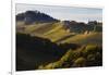 Europe, Austria, Styria, South-Styrian Wine Route, Vineyards, Houses-Gerhard Wild-Framed Premium Photographic Print