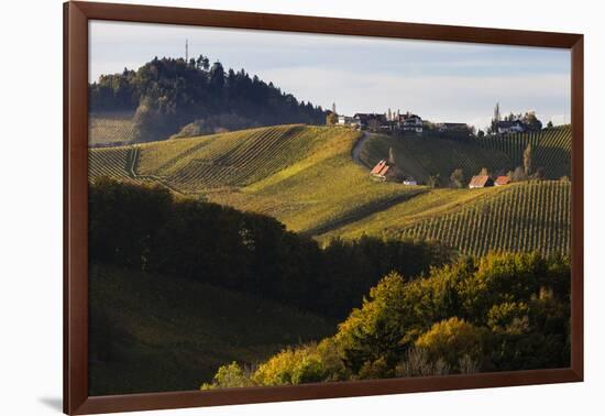 Europe, Austria, Styria, South-Styrian Wine Route, Vineyards, Houses-Gerhard Wild-Framed Premium Photographic Print