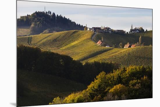 Europe, Austria, Styria, South-Styrian Wine Route, Vineyards, Houses-Gerhard Wild-Mounted Premium Photographic Print