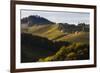 Europe, Austria, Styria, South-Styrian Wine Route, Vineyards, Houses-Gerhard Wild-Framed Photographic Print