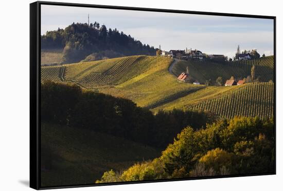 Europe, Austria, Styria, South-Styrian Wine Route, Vineyards, Houses-Gerhard Wild-Framed Stretched Canvas