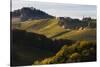 Europe, Austria, Styria, South-Styrian Wine Route, Vineyards, Houses-Gerhard Wild-Stretched Canvas