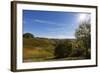 Europe, Austria, Styria, South-Styrian Wine Route, Vineyards, Houses-Gerhard Wild-Framed Photographic Print