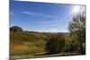 Europe, Austria, Styria, South-Styrian Wine Route, Vineyards, Houses-Gerhard Wild-Mounted Photographic Print