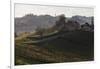 Europe, Austria, Styria, South-Styrian Wine Route, Vineyards, Houses-Gerhard Wild-Framed Photographic Print