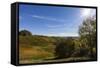 Europe, Austria, Styria, South-Styrian Wine Route, Vineyards, Houses-Gerhard Wild-Framed Stretched Canvas