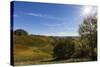 Europe, Austria, Styria, South-Styrian Wine Route, Vineyards, Houses-Gerhard Wild-Stretched Canvas