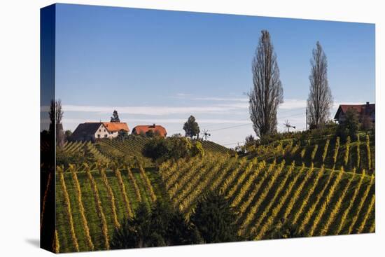 Europe, Austria, Styria, South-Styrian Wine Route, Vineyards, Houses-Gerhard Wild-Stretched Canvas