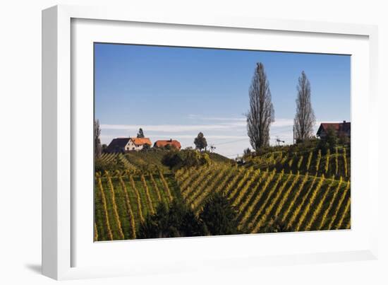 Europe, Austria, Styria, South-Styrian Wine Route, Vineyards, Houses-Gerhard Wild-Framed Photographic Print