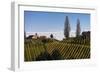 Europe, Austria, Styria, South-Styrian Wine Route, Vineyards, Houses-Gerhard Wild-Framed Photographic Print
