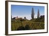 Europe, Austria, Styria, South-Styrian Wine Route, Vineyards, Houses-Gerhard Wild-Framed Photographic Print