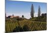 Europe, Austria, Styria, South-Styrian Wine Route, Vineyards, Houses-Gerhard Wild-Mounted Photographic Print