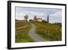 Europe, Austria, Styria, South-Styrian Wine Route, Vineyards, Houses-Gerhard Wild-Framed Photographic Print
