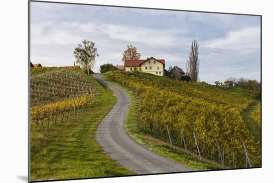 Europe, Austria, Styria, South-Styrian Wine Route, Vineyards, Houses-Gerhard Wild-Mounted Photographic Print