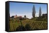 Europe, Austria, Styria, South-Styrian Wine Route, Vineyards, Houses-Gerhard Wild-Framed Stretched Canvas