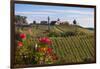 Europe, Austria, Styria, South-Styrian Wine Route, Vineyards, Houses-Gerhard Wild-Framed Photographic Print