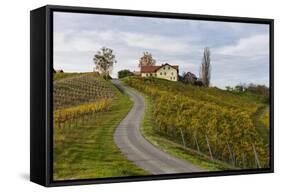 Europe, Austria, Styria, South-Styrian Wine Route, Vineyards, Houses-Gerhard Wild-Framed Stretched Canvas