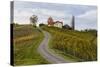 Europe, Austria, Styria, South-Styrian Wine Route, Vineyards, Houses-Gerhard Wild-Stretched Canvas