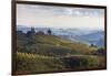 Europe, Austria, Styria, South-Styrian Wine Route, Vineyards, Houses-Gerhard Wild-Framed Photographic Print