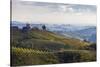 Europe, Austria, Styria, South-Styrian Wine Route, Vineyards, Houses-Gerhard Wild-Stretched Canvas