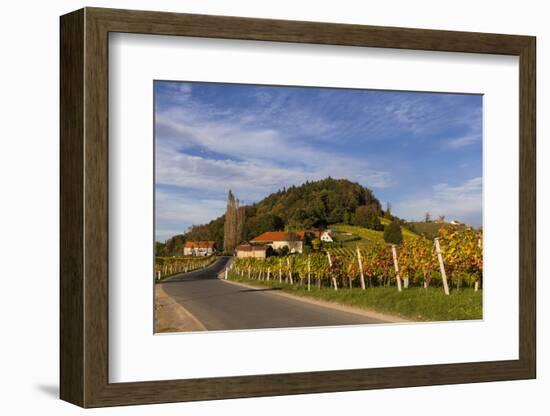 Europe, Austria, Styria, South-Styrian Wine Route, Vineyards-Gerhard Wild-Framed Photographic Print