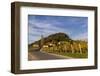 Europe, Austria, Styria, South-Styrian Wine Route, Vineyards-Gerhard Wild-Framed Photographic Print